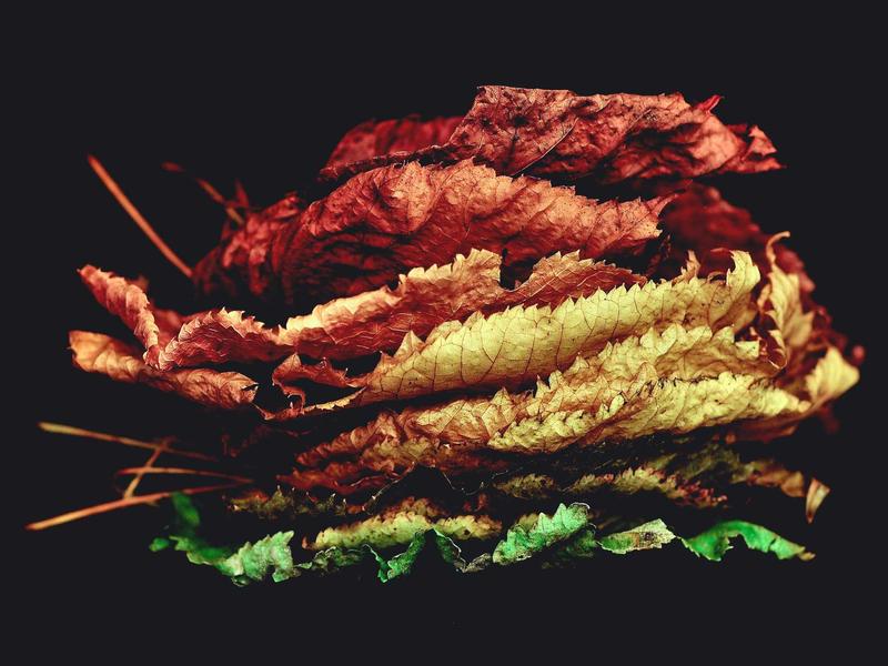 三国演义烽烟<br>kclfxfu.cn 合久必分分久必合